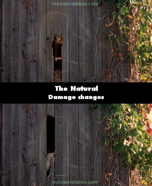 The Natural mistake picture