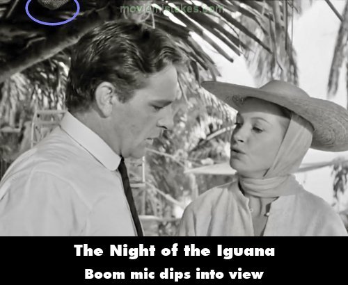 The Night of the Iguana picture