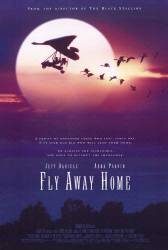 Fly Away Home picture