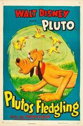Pluto's Fledgling picture