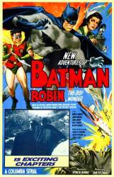 Batman and Robin picture