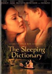 The Sleeping Dictionary picture