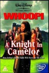 A Knight In Camelot picture