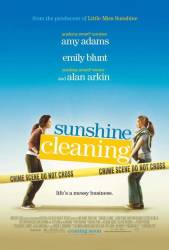 Sunshine Cleaning picture