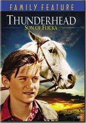 Thunderhead - Son of Flicka picture