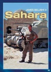 Sahara picture