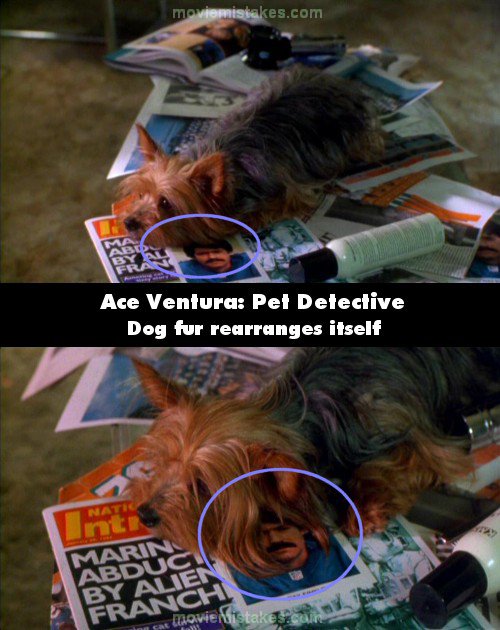 Ace Ventura: Pet Detective picture