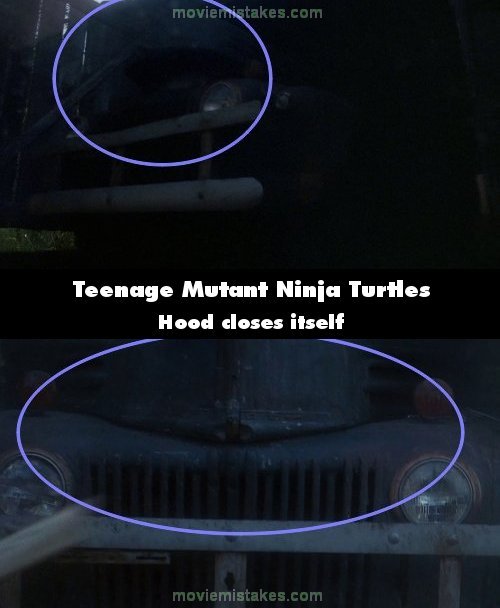 Teenage Mutant Ninja Turtles picture