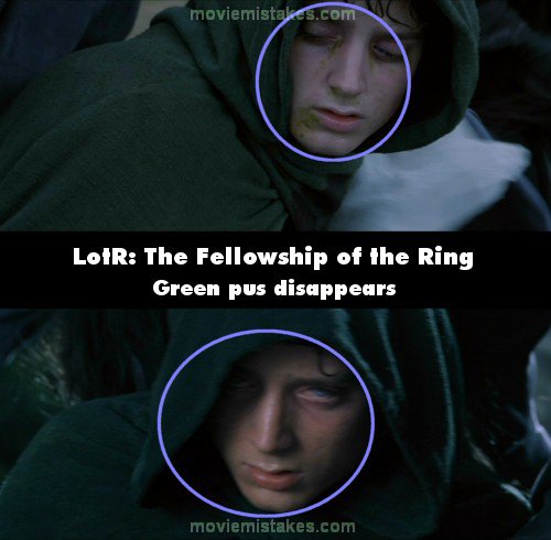The Lord of the Rings: The Fellowship of the Ring (2001 