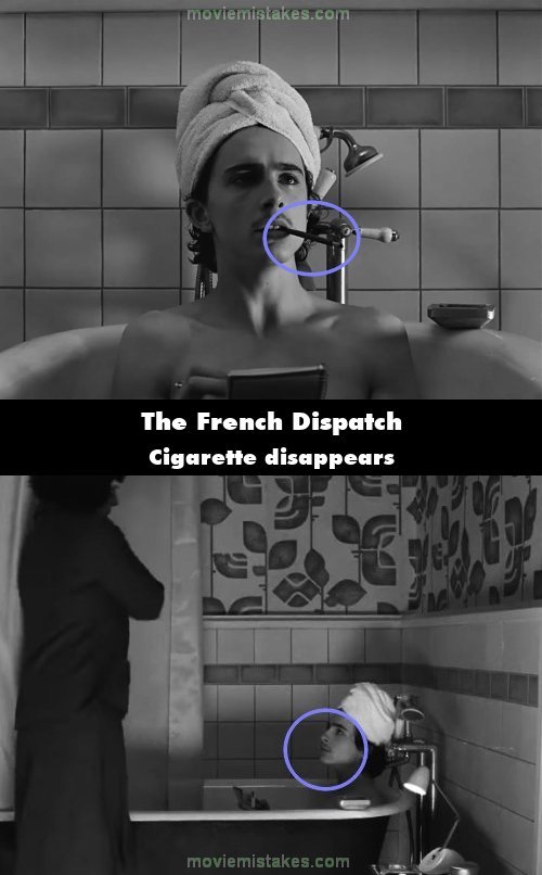 The French Dispatch mistake picture