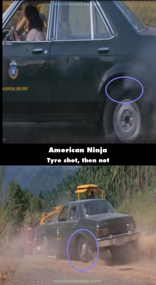American Ninja mistake picture