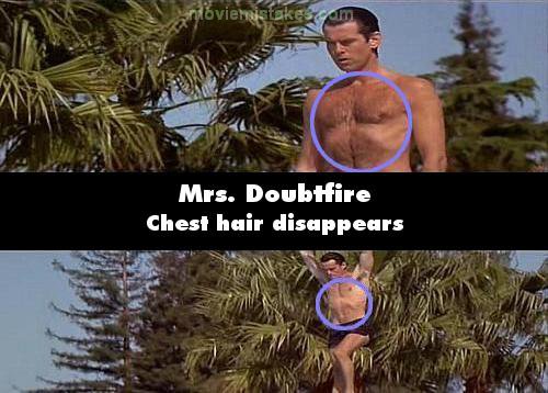 Mrs. Doubtfire picture
