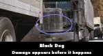 Black Dog mistake picture