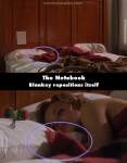 The Notebook mistake picture