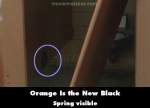 Orange Is the New Black mistake picture