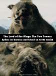 The Lord of the Rings: The Two Towers mistake picture