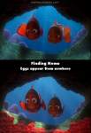 Finding Nemo mistake picture