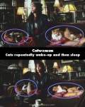 Catwoman mistake picture