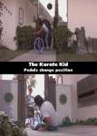 The Karate Kid mistake picture