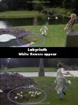 Labyrinth mistake picture