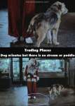 Trading Places mistake picture