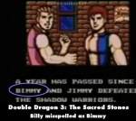 Double Dragon 3: The Sacred Stones mistake picture