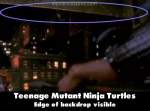 Teenage Mutant Ninja Turtles mistake picture