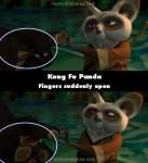 Kung Fu Panda mistake picture