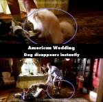 American Wedding mistake picture