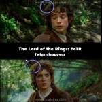The Lord of the Rings: The Fellowship of the Ring mistake picture