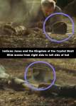 Indiana Jones and the Kingdom of the Crystal Skull mistake picture