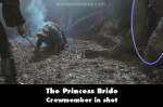 The Princess Bride mistake picture