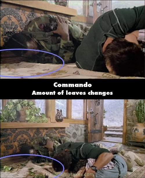 Commando picture