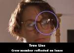 True Lies mistake picture