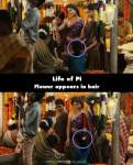 Life of Pi mistake picture