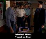 Criminal Minds mistake picture