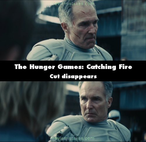The Hunger Games: Catching Fire picture