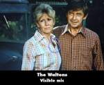 The Waltons mistake picture