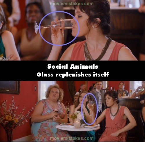 Social Animals picture