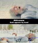 Midsommar mistake picture