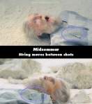 Midsommar mistake picture