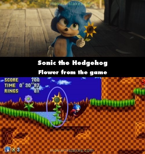 Sonic the Hedgehog trivia picture