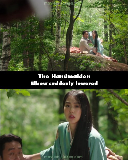 The Handmaiden picture