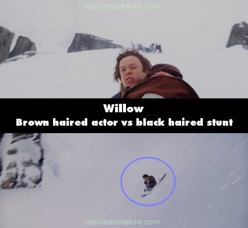 Willow picture