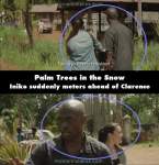 Palm Trees in the Snow mistake picture