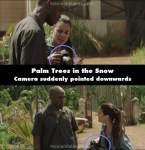 Palm Trees in the Snow mistake picture