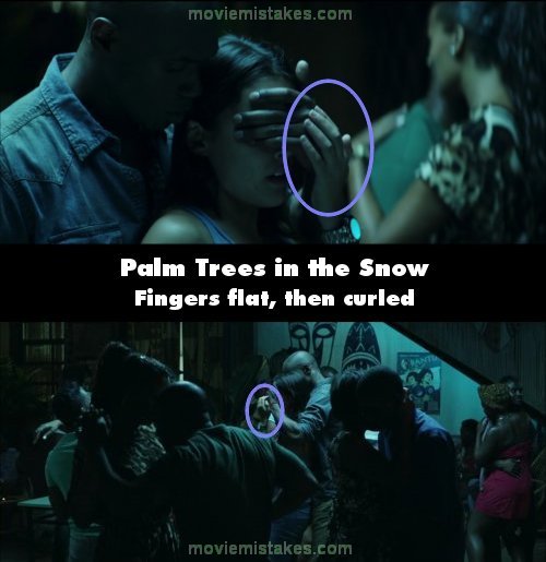 Palm Trees in the Snow picture