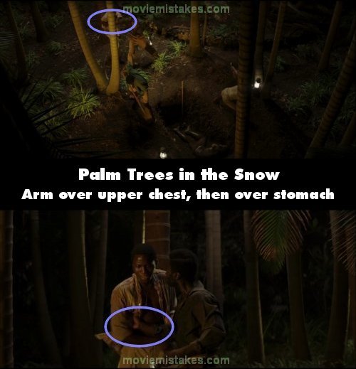 Palm Trees in the Snow picture