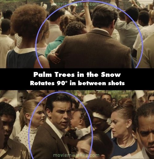 Palm Trees in the Snow picture