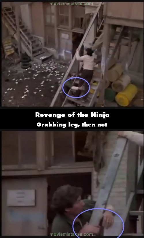 Revenge of the Ninja picture